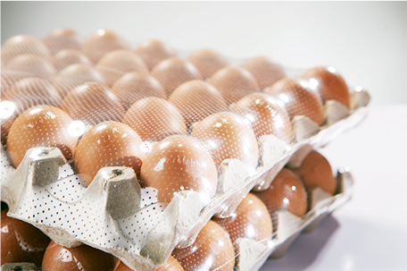 img-macro perforated shrink film
